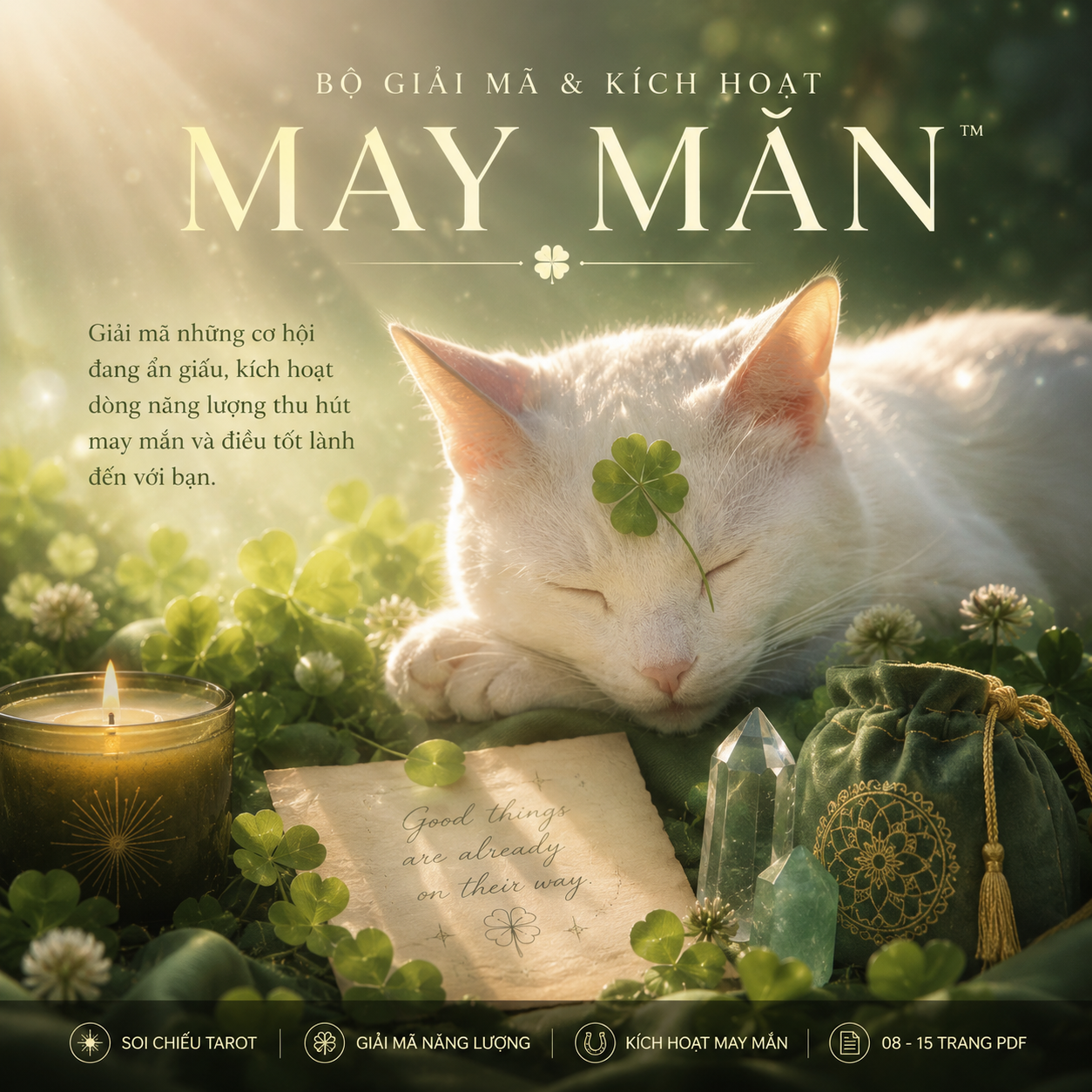 BỘ GIẢI MÃ & KÍCH HOẠT MAY MẮN