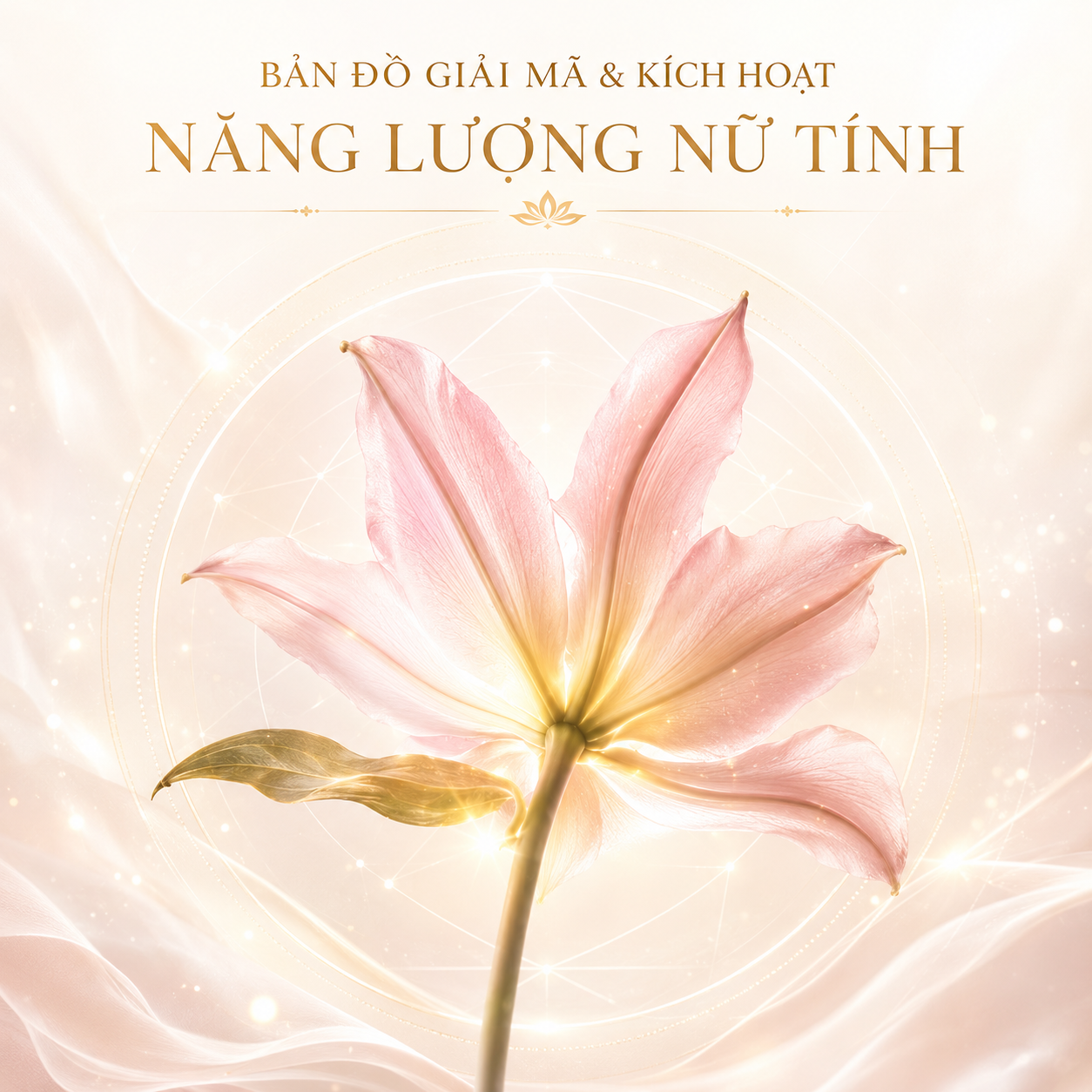 BẢN ĐỒ GIẢI MÃ & KÍCH HOẠT NĂNG LƯỢNG NỮ TÍNH
