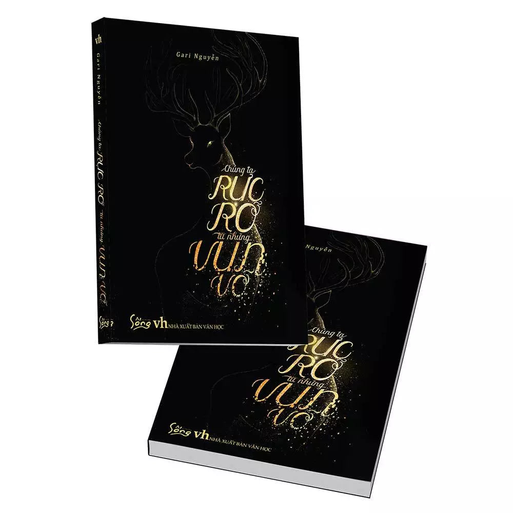 Chúng Ta Rực Rỡ Từ Những Vụn Vỡ (BẢN EBOOK)